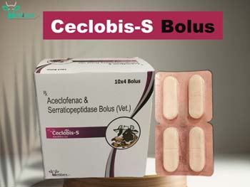 CECLOBIS -S