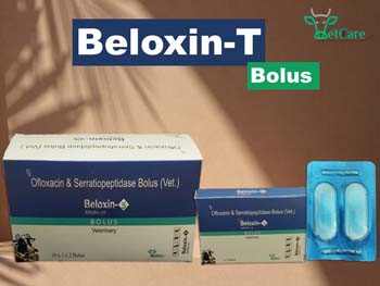 BELOXIN -T