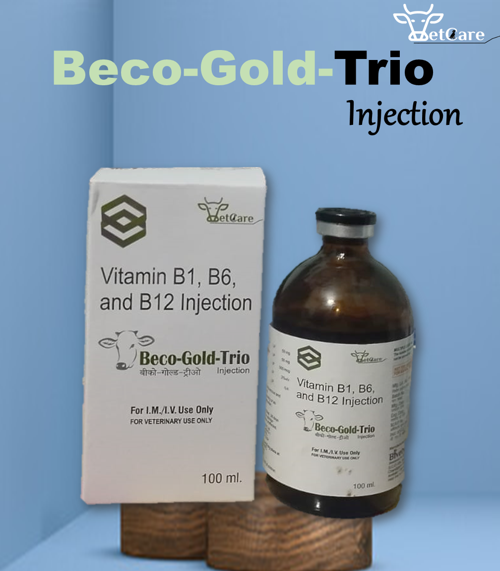 BECO-GOLD- TRIO