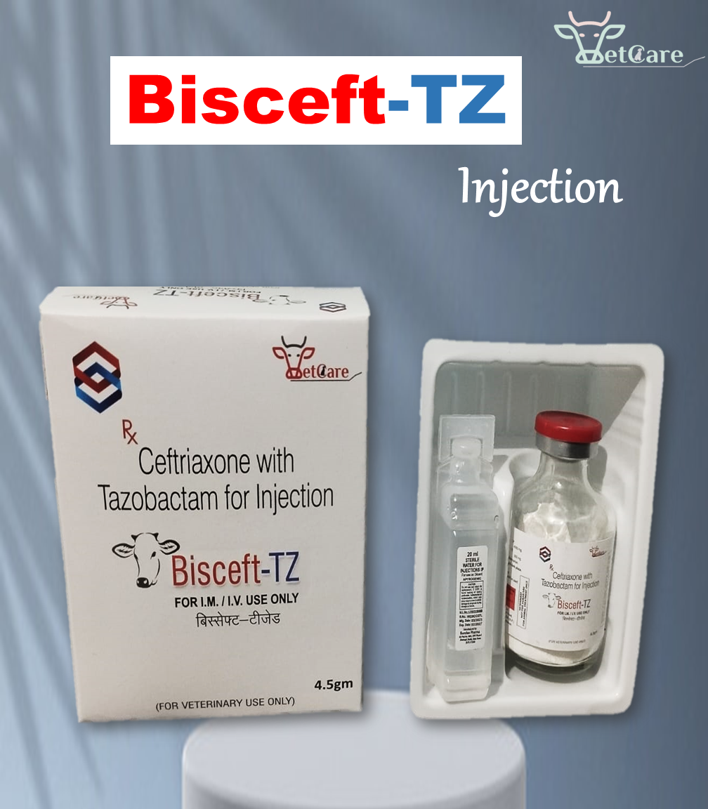 BISCEFT-TZ