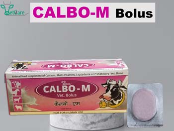 CALBO-M BOLUS