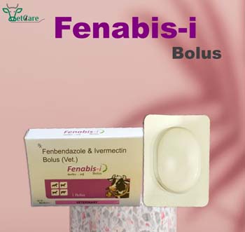 FENABIS -I