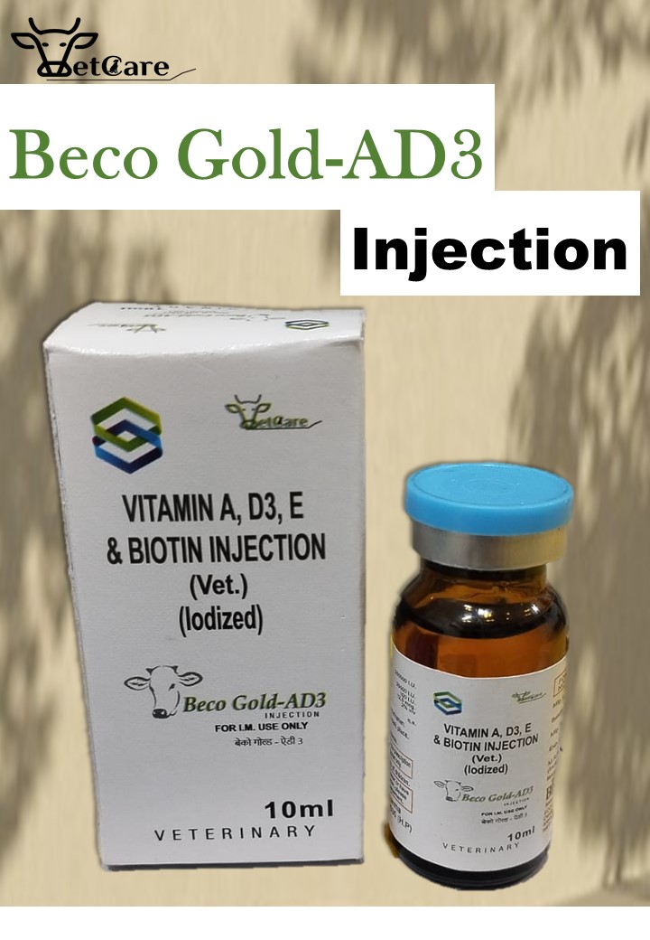 BECO GOLD  AD3
