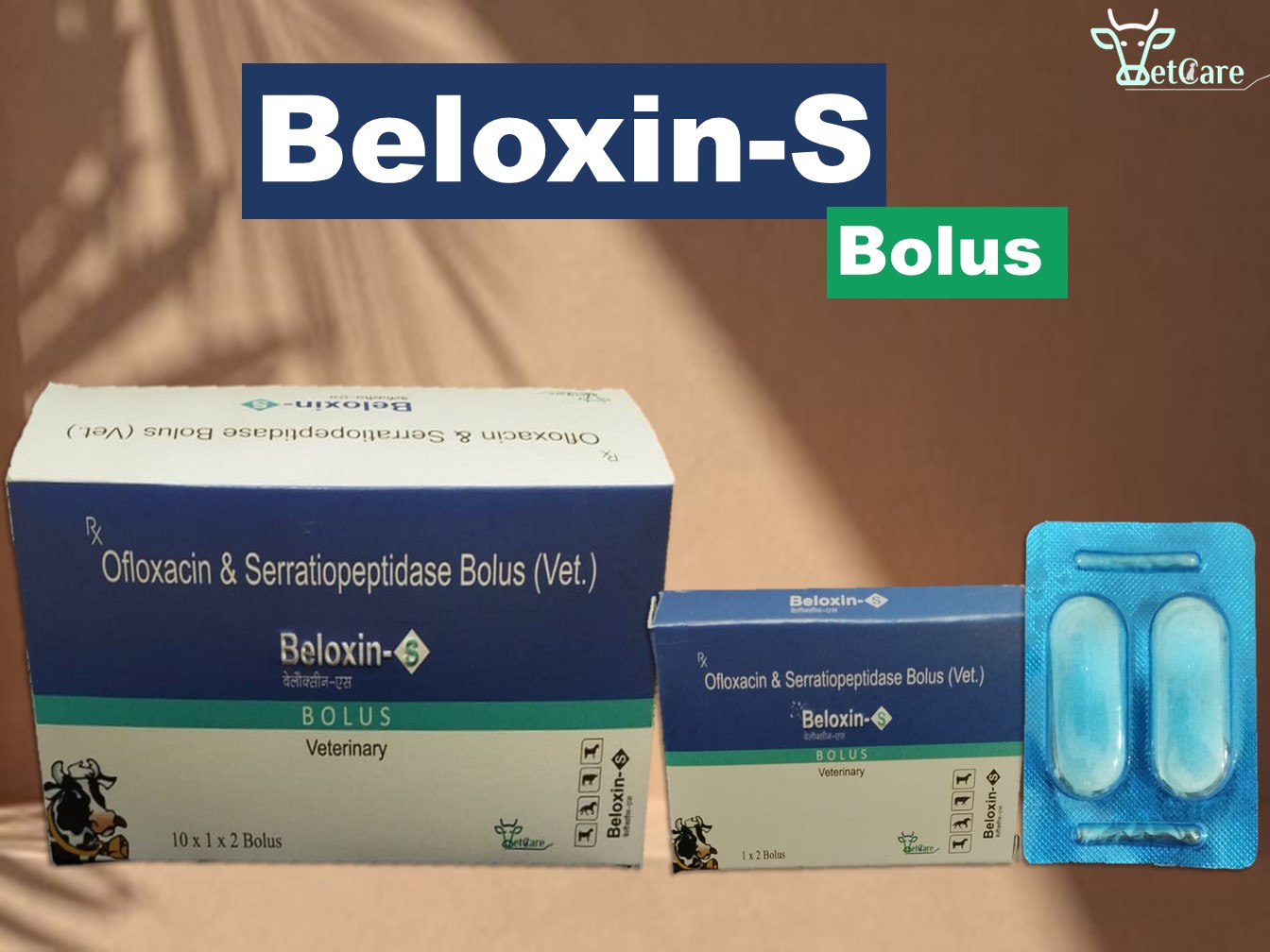 BELOXIN-S