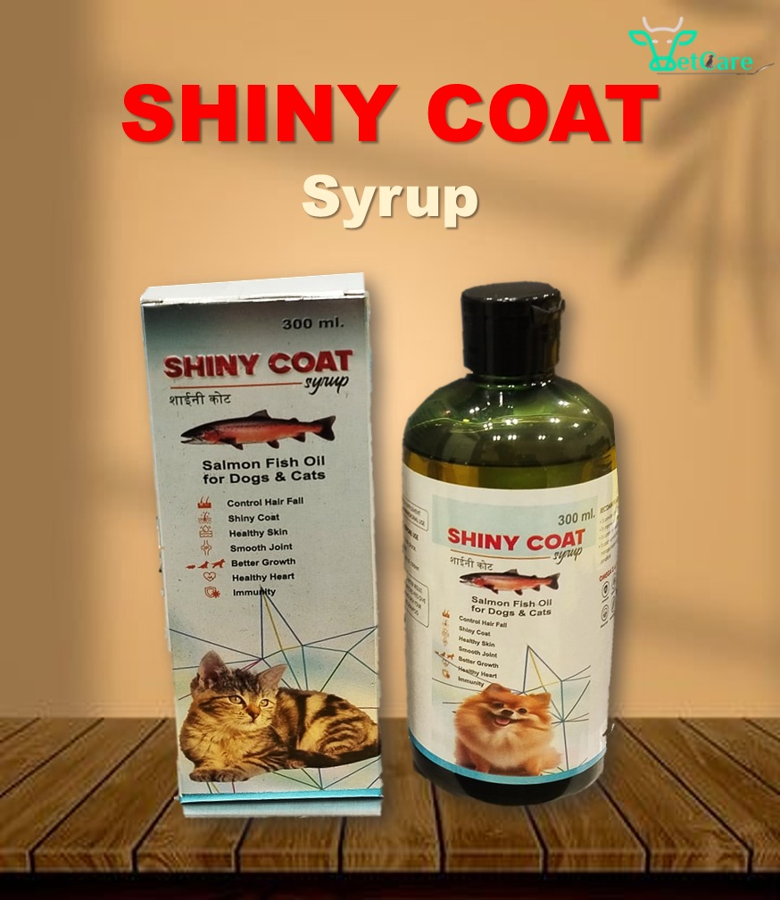 SHINY COAT SYRUP