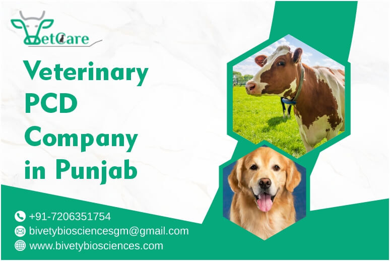 citriclabs | Veterinary PCD Company in Punjab