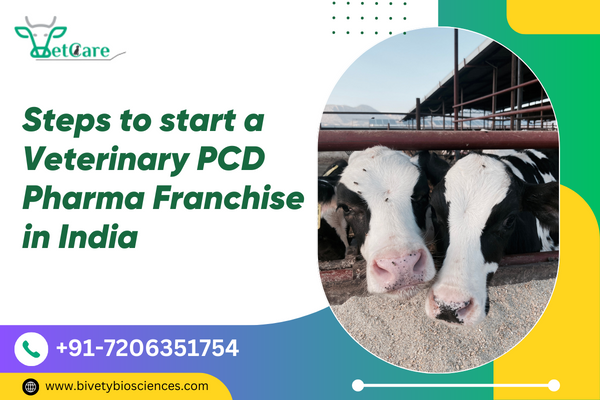 janusbiotech|Steps to Start a Veterinary PCD Pharma Franchise in India 