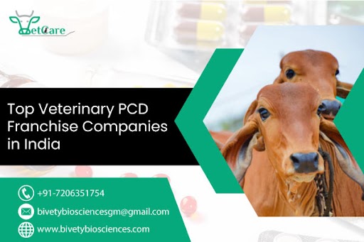 janusbiotech|Top Veterinary PCD Companies in India 