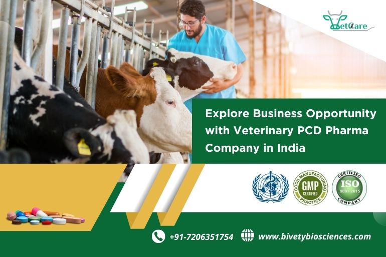 janusbiotech|Explore Business Opportunity With Veterinary Pcd Pharma Company 