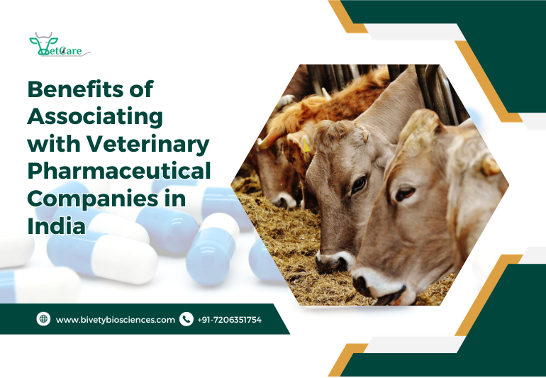 janusbiotech|Benefits of Associating with Veterinary Pharmaceutical Companies in India 
