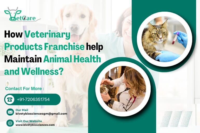 janusbiotech|How Veterinary Products Franchise help Maintain Animal Health and Wellness? 
